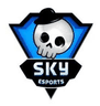 Sky Esports